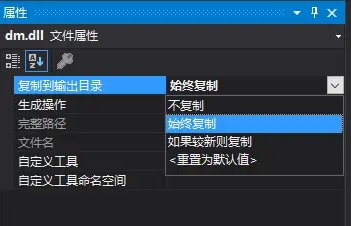 大漠插件 大漠插件